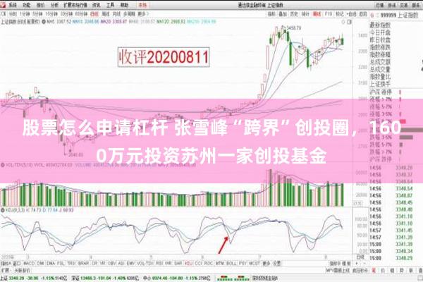 股票怎么申请杠杆 张雪峰“跨界”创投圈，1600万元投资苏州一家创投基金