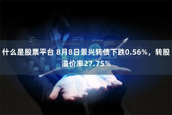 什么是股票平台 8月8日景兴转债下跌0.56%，转股溢价率27.75%