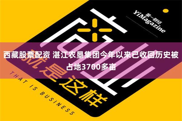 西藏股票配资 湛江农垦集团今年以来已收回历史被占地3700多亩