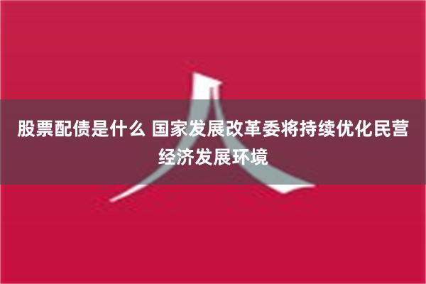 股票配债是什么 国家发展改革委将持续优化民营经济发展环境