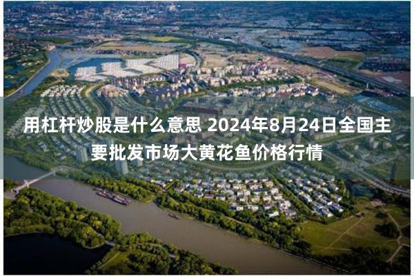 用杠杆炒股是什么意思 2024年8月24日全国主要批发市场大黄花鱼价格行情