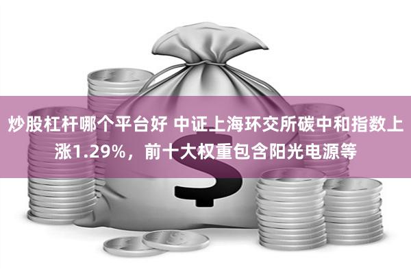 炒股杠杆哪个平台好 中证上海环交所碳中和指数上涨1.29%，前十大权重包含阳光电源等