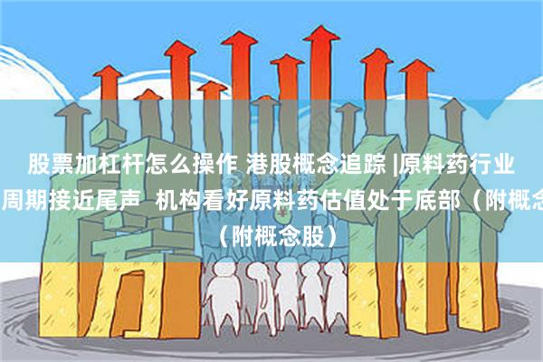 股票加杠杆怎么操作 港股概念追踪 |原料药行业去库周期接近尾声  机构看好原料药估值处于底部（附概念股）