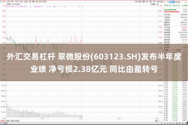 外汇交易杠杆 翠微股份(603123.SH)发布半年度业绩 净亏损2.38亿元 同比由盈转亏