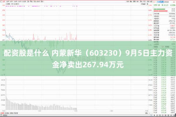 配资股是什么 内蒙新华（603230）9月5日主力资金净卖出267.94万元