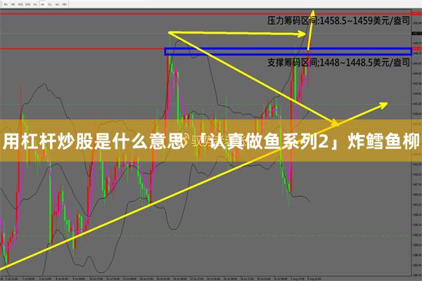 用杠杆炒股是什么意思 「认真做鱼系列2」炸鳕鱼柳