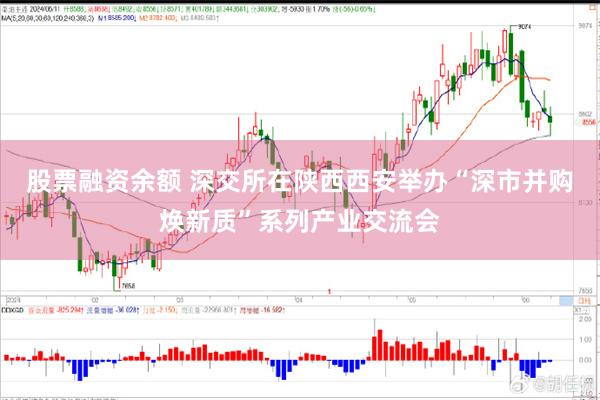 股票融资余额 深交所在陕西西安举办“深市并购焕新质”系列产业交流会