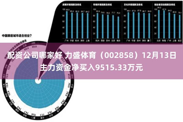 配资公司哪家好 力盛体育（002858）12月13日主力资金净买入9515.33万元