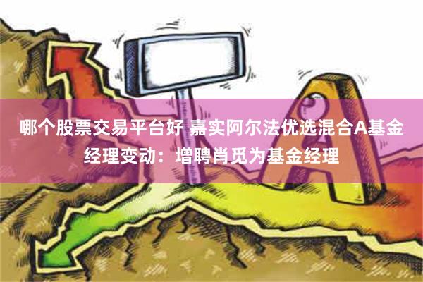 哪个股票交易平台好 嘉实阿尔法优选混合A基金经理变动：增聘肖觅为基金经理