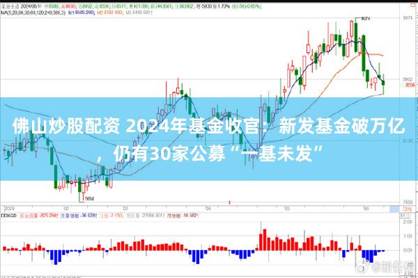 佛山炒股配资 2024年基金收官：新发基金破万亿，仍有30家公募“一基未发”