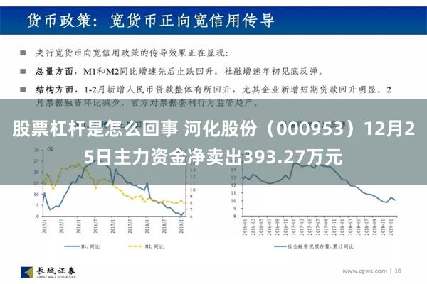 股票杠杆是怎么回事 河化股份（000953）12月25日主力资金净卖出393.27万元