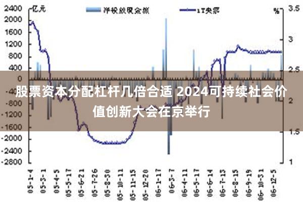 股票资本分配杠杆几倍合适 2024可持续社会价值创新大会在京举行