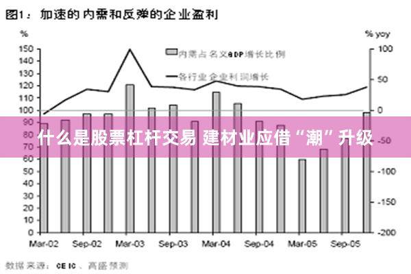 什么是股票杠杆交易 建材业应借“潮”升级